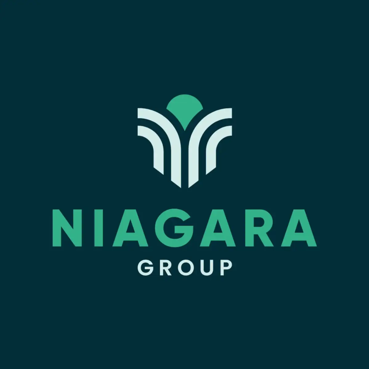 Niagara Group LTDA