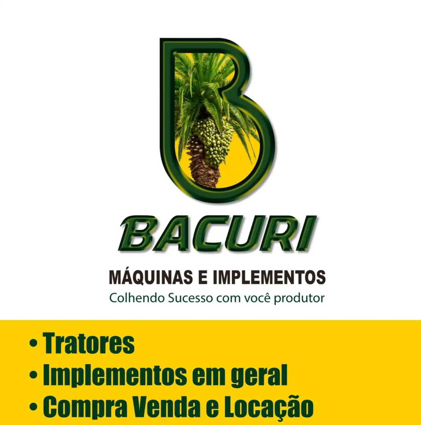 BACURI IMPERIAL MAQUINAS E IMPLEMENTOS AGRICOLAS LTDA