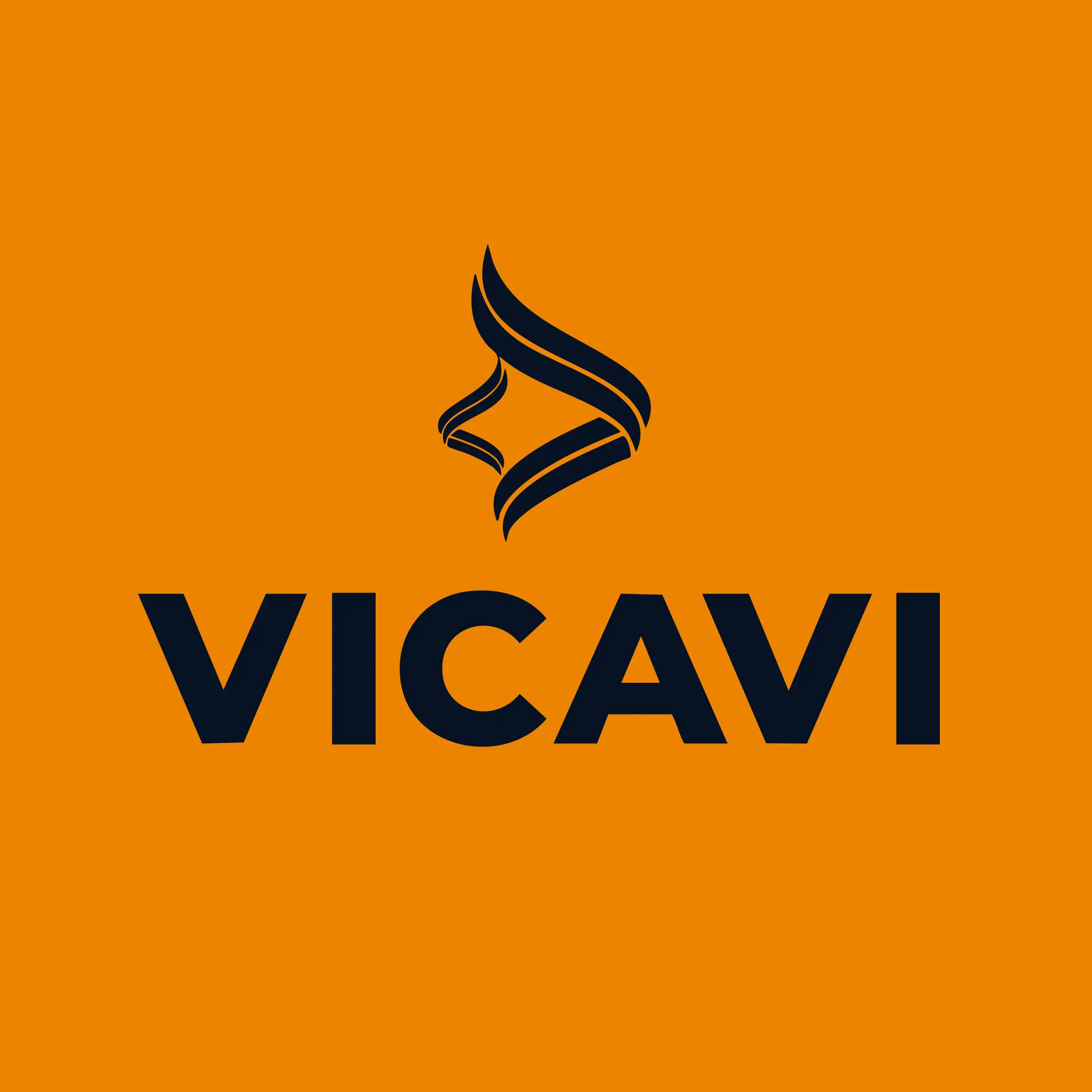 VICAVI INDUSTRIA E COMERCIO 