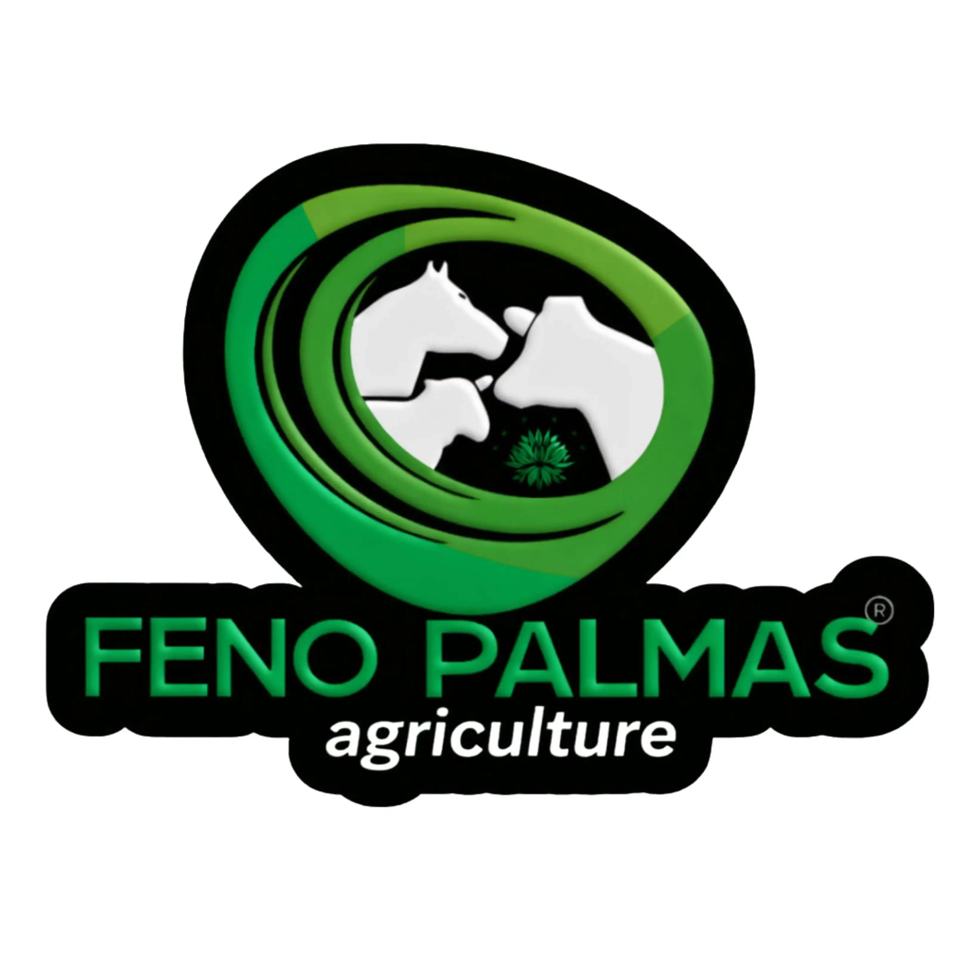 FENO PALMAS LTDA