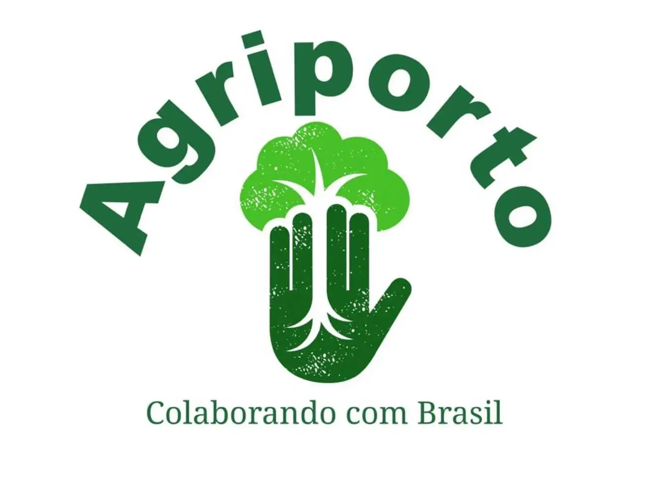 AGRIPORTO AGROCOMERCIO LTDA